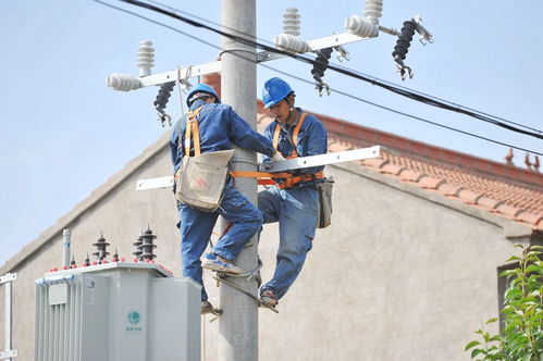 济源供电公司 加快台区改造，配强服务防虫灭鼠守护居民用电安全