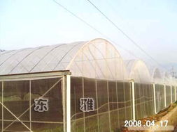 楷锐金属丝网制品厂 专业防虫网与防虫灭鼠服务综合供应商